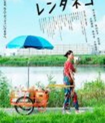 <b><font color='#FF0000'>租赁猫/吉猫出租</font></b>