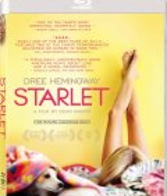 <b><font color='#FF0000'>待绽蔷薇/小明星</font></b>