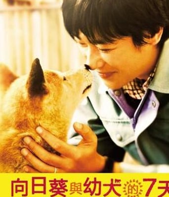 向日葵与幼犬的7天