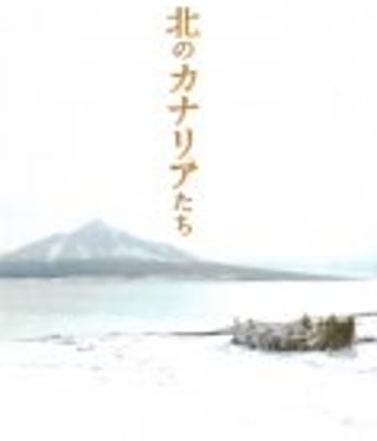 <b><font color='#FF0000'>北方的金丝雀</font></b>