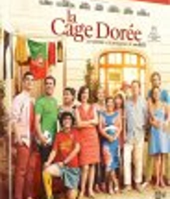 <b><font color='#FF0000'>金丝笼</font></b>