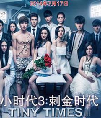 <b><font color='#FF0000'>小时代3：刺金时代</font></b>