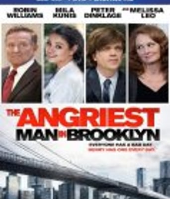 <b><font color='#FF0000'>布鲁克林最愤怒的人</font></b>