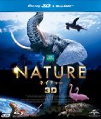 <b><font color='#FF0000'>魔法王国BD1280高清</font></b>