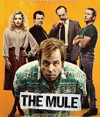 <b><font color='#FF0000'>骡子</font></b>