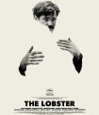 <b><font color='#FF0000'>龙虾/单身动物园</font></b>