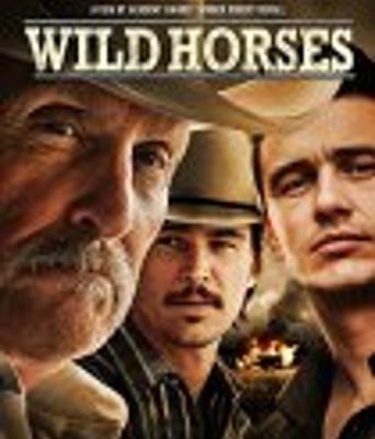 <b><font color='#FF0000'>野马</font></b>