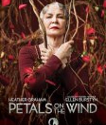 <b><font color='#FF0000'>风中的花瓣</font></b>