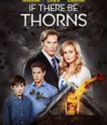 <b><font color='#FF0000'>如果有荆棘</font></b>