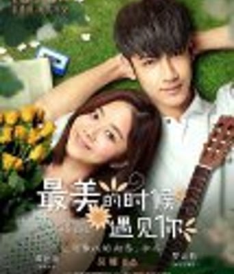 <b>最美的时候遇见你</b>