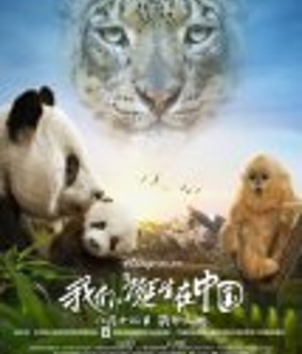 <b><font color='#FF0000'>我们诞生在中国</font></b>