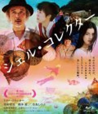 <b><font color='#FF0000'>贝壳收藏家</font></b>