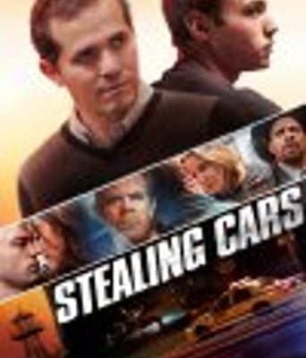 <b><font color='#FF0000'>偷车/偷车贼</font></b>