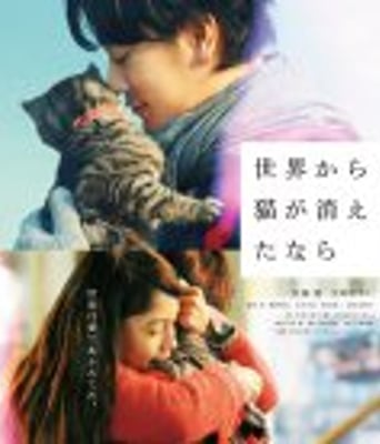 <font color='#FF0000'>假如猫从世界上消失了</font>