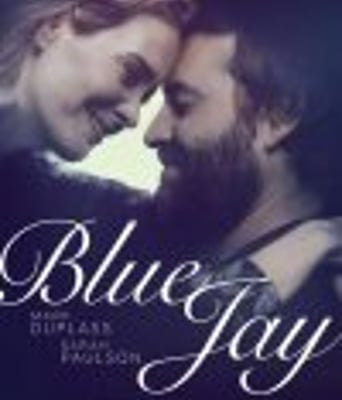 <b><font color='#FF0000'>蓝色杰伊</font></b>