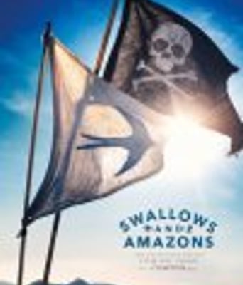 <b><font color='#FF0000'>燕子号与亚马逊号</font></b>