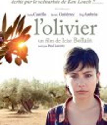 <b><font color='#FF0000'>橄榄树</font></b>