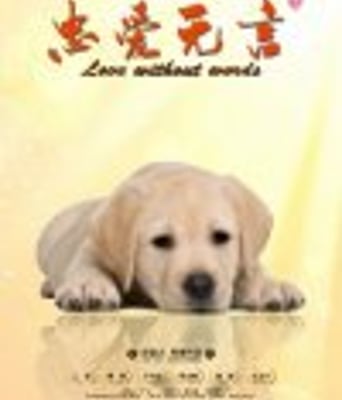 <b><font color='#FF0000'>忠爱无言</font></b>