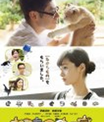 <b><font color='#FF0000'>猫咪后院之家</font></b>