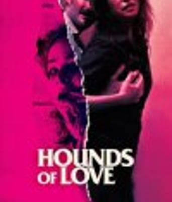 <b><font color='#FF0000'>爱的猎犬</font></b>