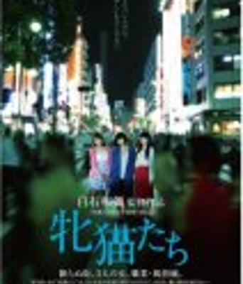 <b><font color='#FF0000'>雌猫们</font></b>