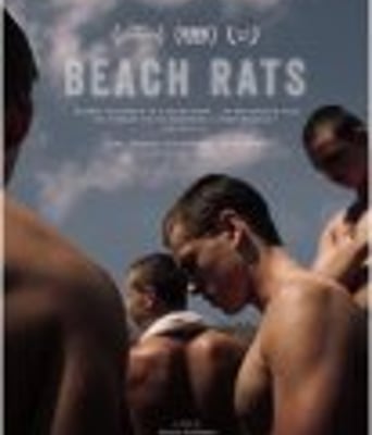 <b><font color='#FF0000'>沙滩鼠</font></b>