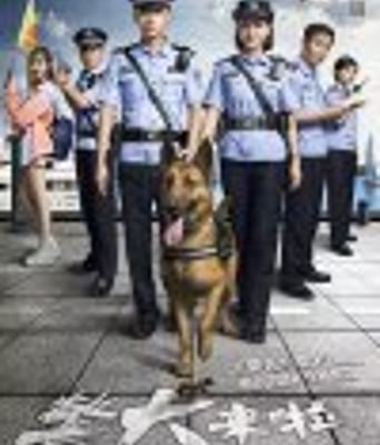 警犬来啦