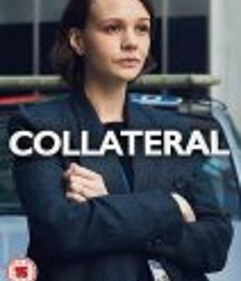 连带伤害/抵押第一季