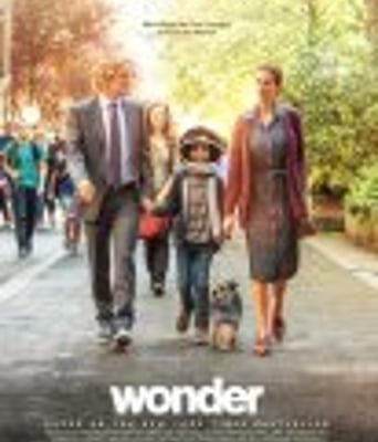 <b><font color='#FF0000'>奇迹男孩</font></b>