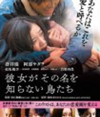 <b><font color='#FF0000'>她不知道名字的那些鸟</font></b>