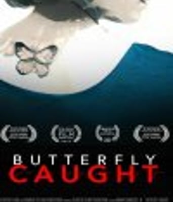 <b><font color='#FF0000'>折翅蝴蝶</font></b>