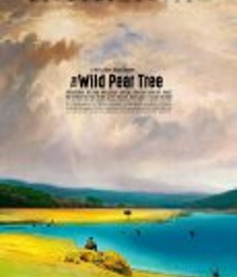 <b><font color='#FF0000'>野梨树</font></b>