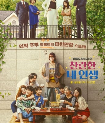 <b>我的灿烂人生</b>