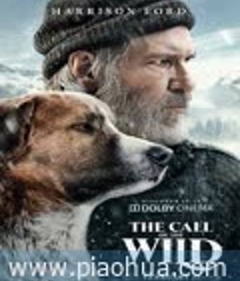 <b><font color='#FF0000'>野性的呼唤</font></b>