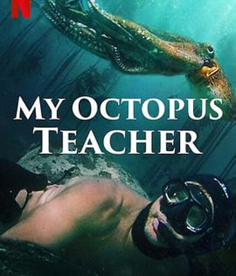 <b><font color='#FF0000'>我的章鱼老师</font></b>