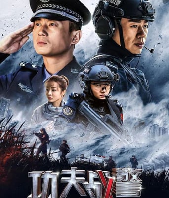 <b><font color='#FF0000'>功夫战警</font></b>