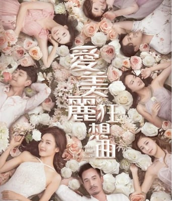 <b><font color='#FF0000'>爱美丽狂想曲</font></b>