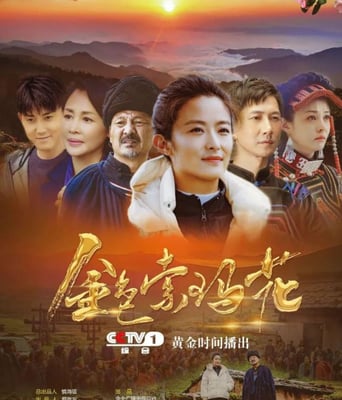 <b><font color='#FF0000'>金色索玛花</font></b>