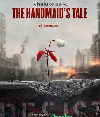 <b><font color='#FF0000'>使女的故事 第四季</font></b>