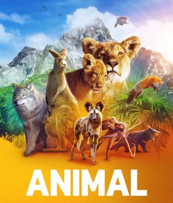 <b><font color='#FF0000'>动物本色 第一季</font></b>