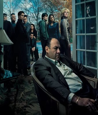 <b><font color='#FF0000'>黑道家族 第六季</font></b>