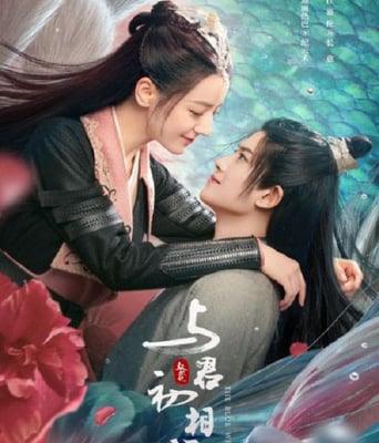 <b><font color='#FF0000'>与君初相识</font></b>