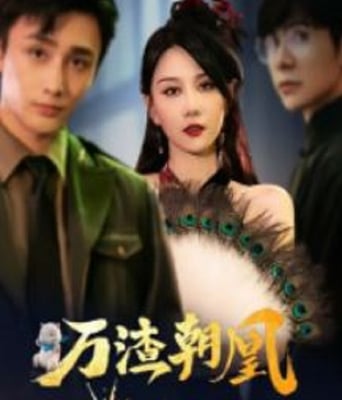 <b><font color='#FF0000'>万渣朝凰之风华名媛</font></b>