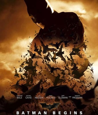 <b><font color='#FF0000'>蝙蝠侠:侠影之谜</font></b>