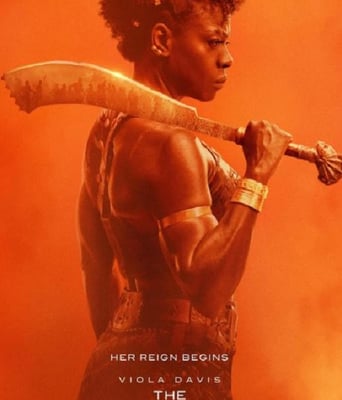 <b><font color='#FF0000'>达荷美女战士</font></b>