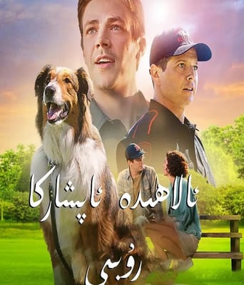 <b><font color='#FF0000'>义犬救主</font></b>