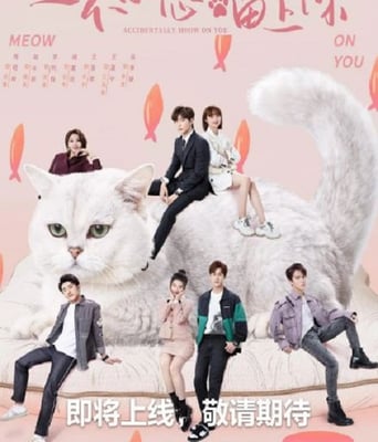 <b><font color='#FF0000'>一不小心喵上你</font></b>