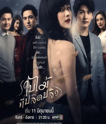 <b><font color='#FF0000'>吹落的树叶</font></b>