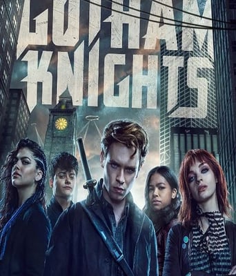 <b><font color='#FF0000'>哥谭骑士</font></b>