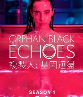 <b><font color='#FF0000'>黑色孤儿：回响</font></b>